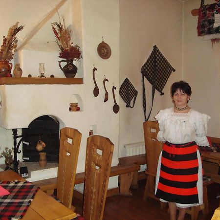 Sighetu Marmaţiei 伊乌卡之家旅馆酒店 外观 照片